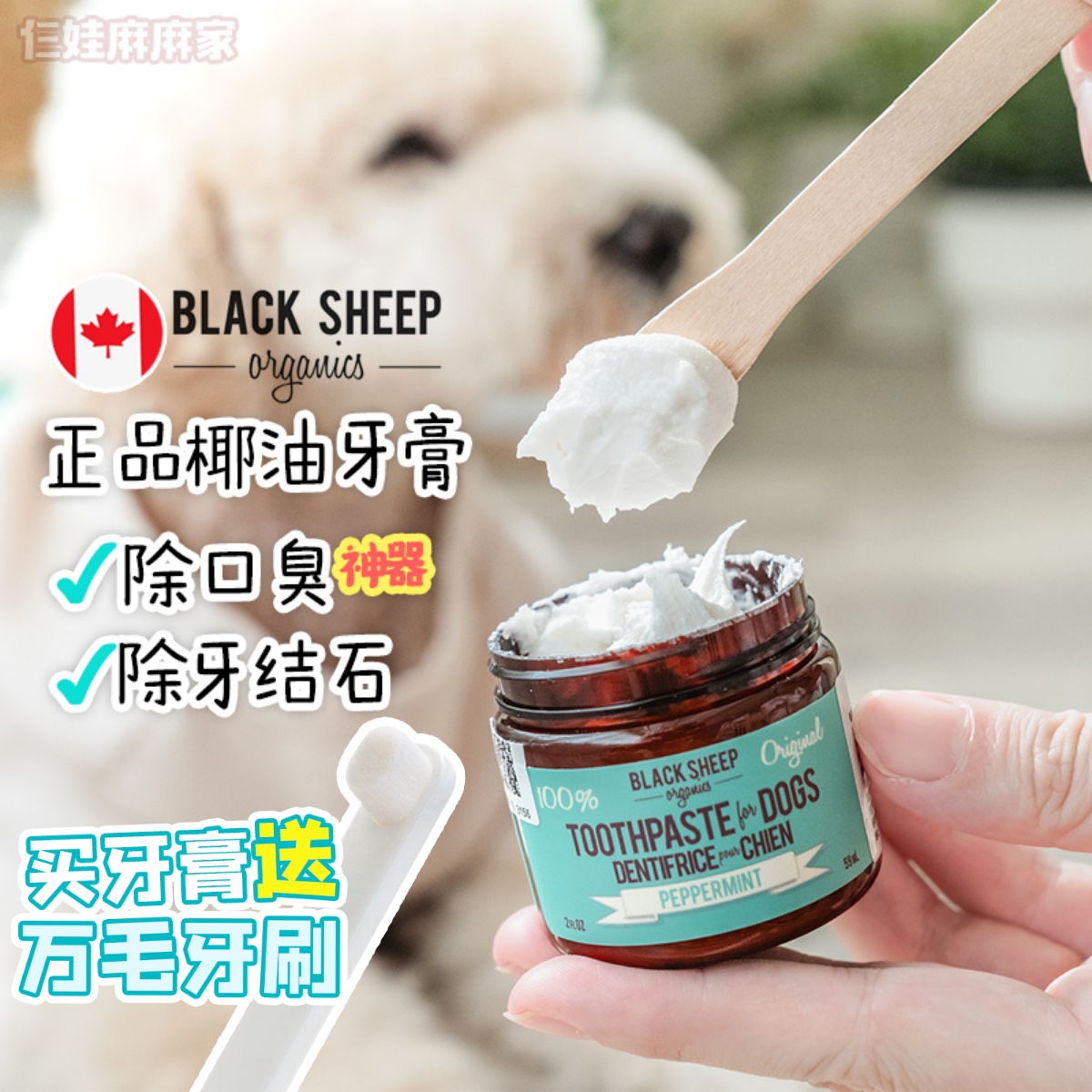 除牙结石神器！进口黑羊椰油牙膏