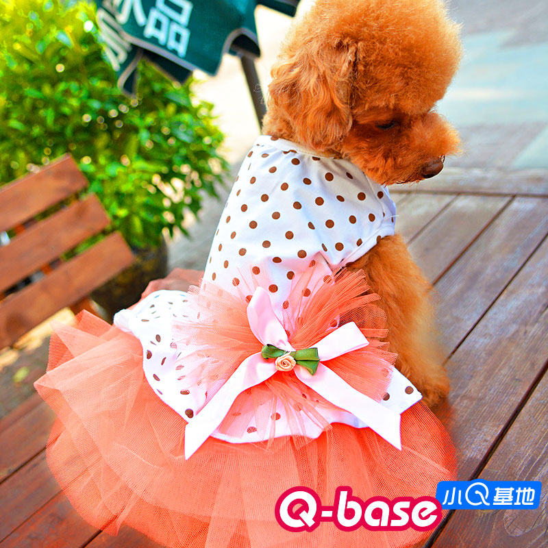 蓬蓬裙春秋款狗狗衣服