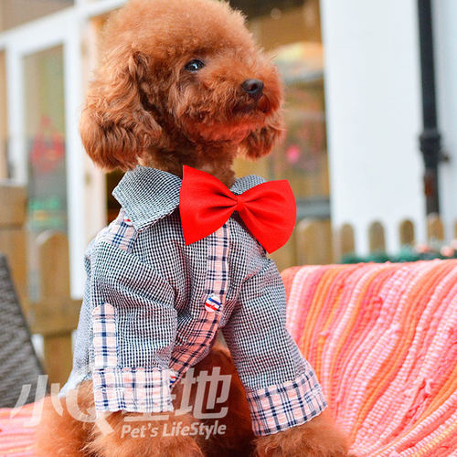 包邮长袖衬衫可爱小熊狗狗衣服