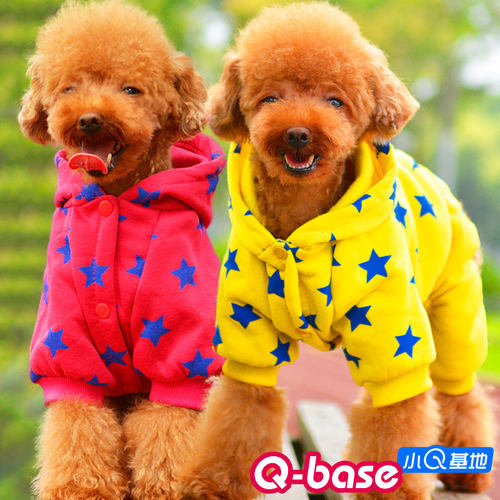 kiss运动狗狗衣服秋冬装泰迪保暖