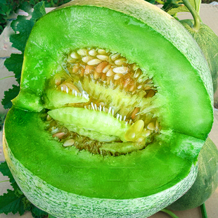 种籽绿皮绿瓤香瓜四季 冰翡翠甜瓜种子种苗薄皮绿肉超甜夏季 春季