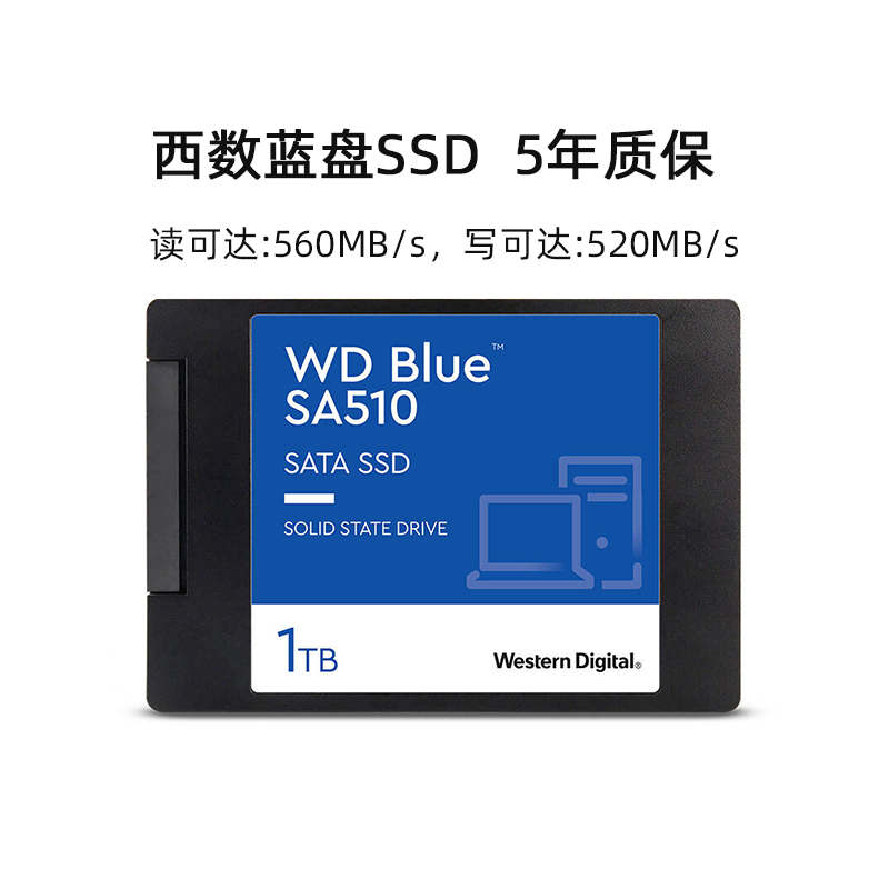 2.5寸1TB蓝盘SA510WDS100T3B0A