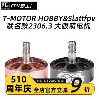 TMOTOR HOBBY Slattfpv 2306.3 联名款 1700KV 2500KV 大眼萌 电