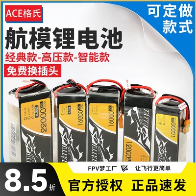 ACE格氏+多种型号6S锂电池航模
