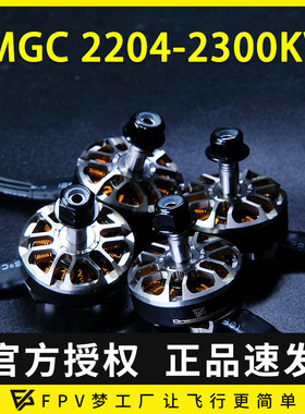 穿越机 电机 2204-2300KV skywalker 航模 无刷 马达 四轴穿越机