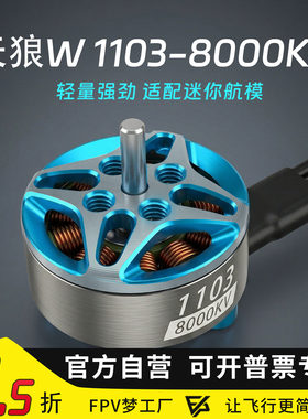 MGC天狼W11038000KV电机