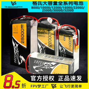 ACE格氏10000 12000 16000 22000 25000 32000mah格式大容量电池