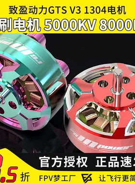 RCinpower致盈动力GTS V3 1304无刷电机2英寸5000KV 8000KV