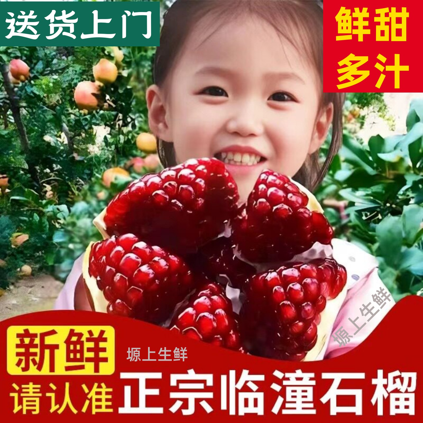 正宗陕西临潼石榴,产地直发