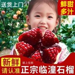 陕西临潼石榴当季新鲜水果5红斤西安软籽甜石榴特大果礼盒装整箱