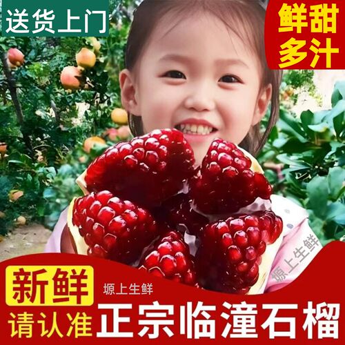 正宗陕西临潼石榴鲜果，产地直发