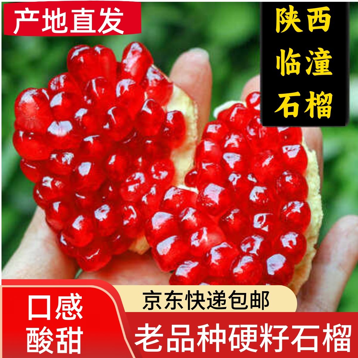 老品种硬籽石榴，正宗临潼石榴