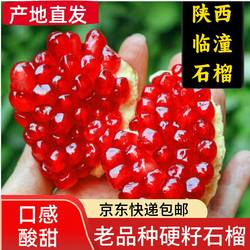 【硬籽石榴】正宗老品种陕西临潼石榴新鲜水果酸甜味粉红籽石榴