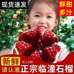 陕西临潼石榴当季新鲜水果5红斤西安软籽甜石榴硬特大果礼盒整箱