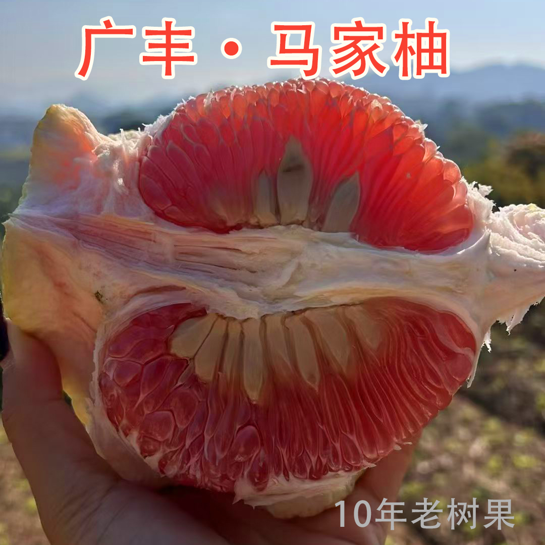 广丰马家柚红心大柚子当季水果