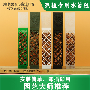 水苔柱龟背竹绿植热值攀爬柱花柱立柱爬藤架支撑杆固定神器爬柱子