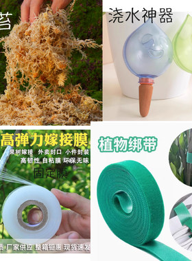 水苔柱周边产品泥炭土椰壳发酵松树皮智利水苔热植专用配土柱子哥