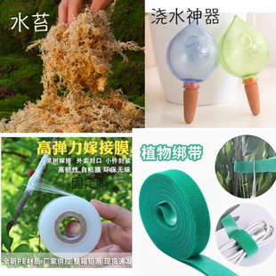 水苔柱周边产品泥炭土椰壳发酵松树皮智利水苔热植专用配土柱子哥