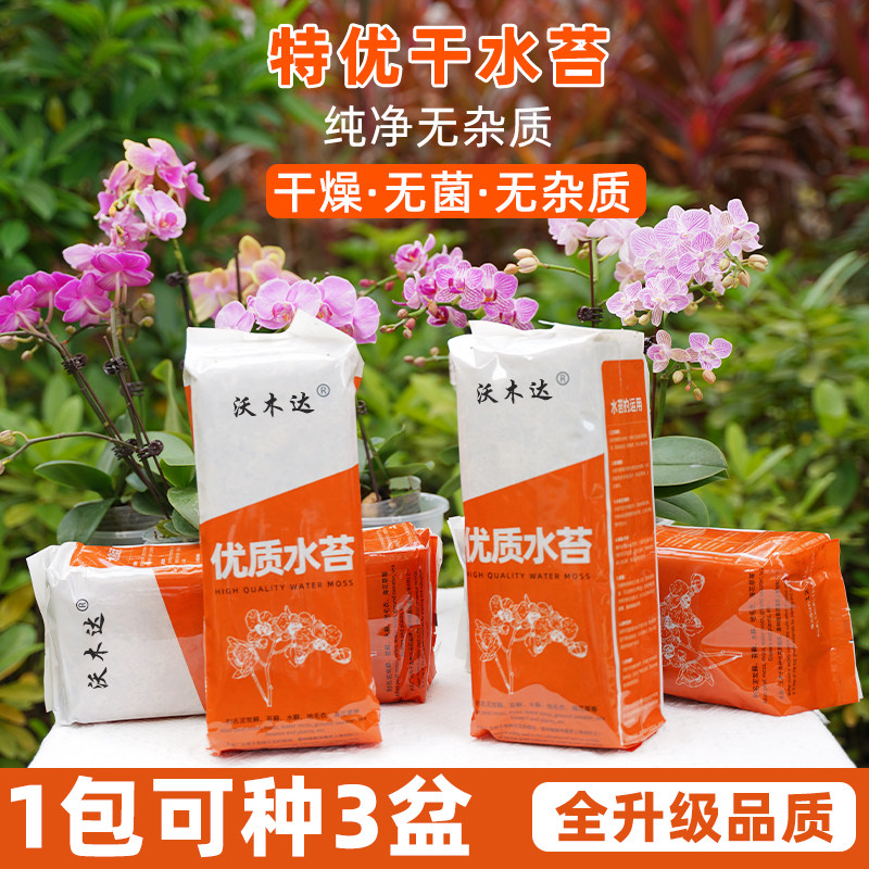 水苔包邮无菌智利进口干水苔蝴蝶兰花专用营养土苔藓石斛食虫植物