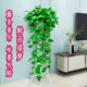 长藤绿萝室内盆栽壁挂绿植垂吊兰空调悬挂爬藤植物水培绿箩大叶