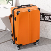 Оранжевый [Пинеллия молнии]