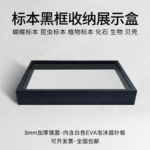 黑框白底实木松木玻璃镜面标本盒