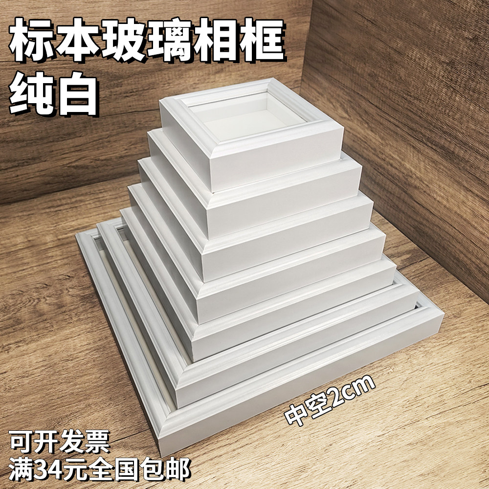 纯白玻璃中空相框昆虫蝴蝶标本图片