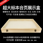 超大松木合页标本盒插针盒实木玻璃面diy手工蝴蝶昆虫标本展示盒