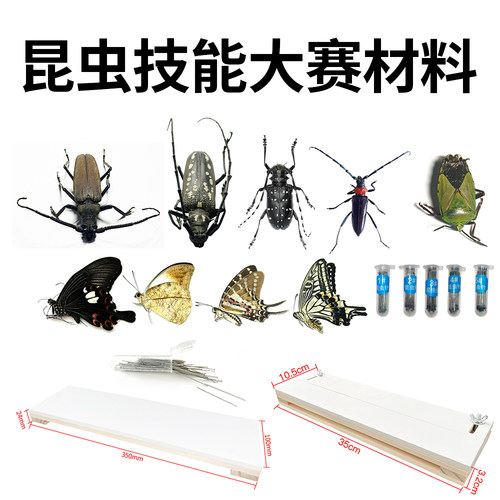 病虫害防治技能大赛天牛凤蝶蝽科