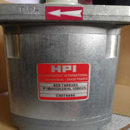 法国HPI齿轮泵 P1BAN1003FL10B01N/C5080592