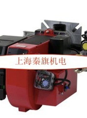 Benton百通燃烧器BG400 BG300 BG200 BG150 STG146 BG500 BG450