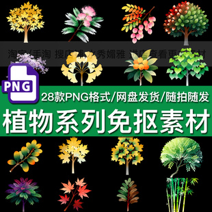 28款绿色植物系列大树银杏叶柳枝包装饰贴图贴纸插画PNG免抠素材