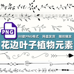 80款手绘文艺优雅清新分割线条花边叶子植物元素装饰PNG免抠素材
