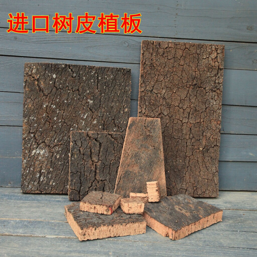 葡萄牙软木树皮天然橡树皮空凤石斛 鹿角蕨板植洋兰软木阳台庭院