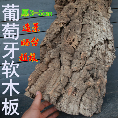 葡萄牙软木树皮造景植板鹿角蕨