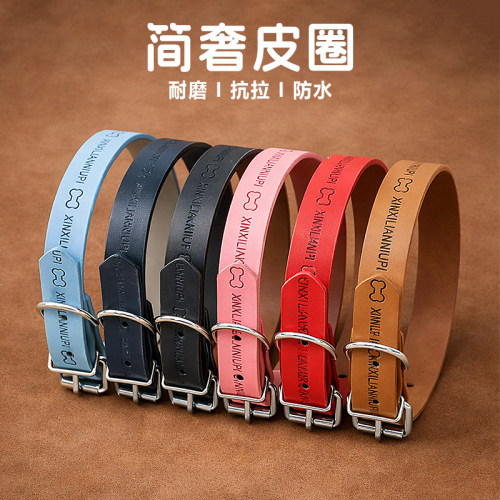 狗狗猫咪皮质项圈颈圈字母设计