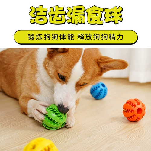 Утечка для любимой собаки игрушка с мячом, мудрость, укус золотые волосы, золотые волосы, Corki Unite щенки