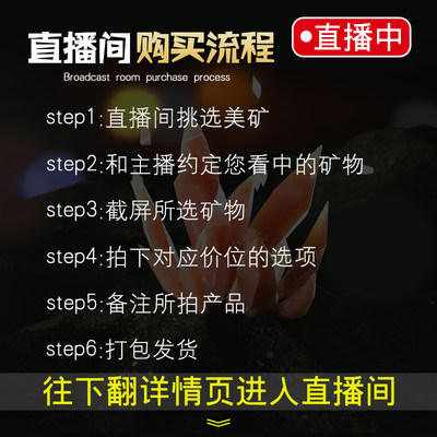 直播专拍 天然水晶矿石海蓝宝原石钒铅矿 蓝铜矿摆件矿物晶体标本