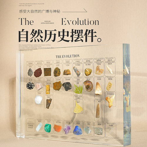进化论地质年代手工礼品矿石摆件