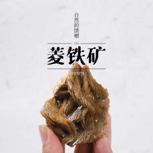 天然菱铁矿原石标本矿物晶体奇石矿石摆件地质石头科普教学标本