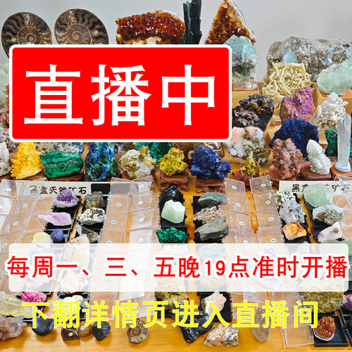 直播专拍 天然水晶矿石海蓝宝原石白钨矿 蓝铜矿摆件矿物晶体标本 - 封面