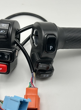 爱玛电动车电瓶车露娜W290P档油门大灯转把左变光喇叭一体开关配