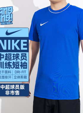 棒棒:NIKE/耐克中超球员版非市售透气运动足球短袖成人HM7129-463