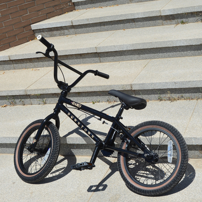 HARO自行车攀爬车20寸极限运动