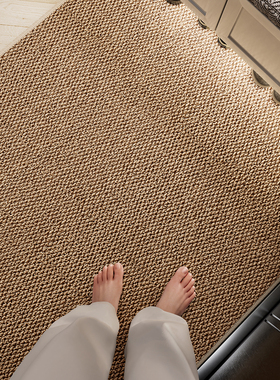 入户门地垫2025新款门口高级可裁剪家用门垫耐脏免洗防滑进门地毯