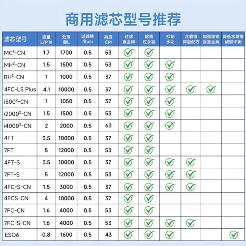 爱惠浦FT系列商用大流量替换滤芯