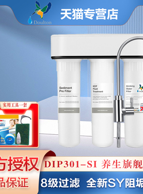 英国道尔顿净水器DIP301 SI 台下式除垢直饮净水机家用厨房过滤器
