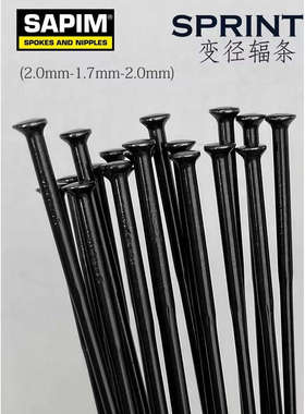 Sapim比利时Sprint黑色银色直头弯头不锈钢自行车公路山地辐条14G
