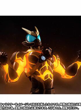 万代魂限 SHF 假面骑士ZEZTZ ZZZ 灾厄风暴 崩灭可动