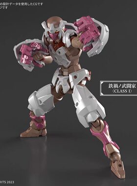 万代 30MF 铁祸之武斗家 METEORIC IRONGRAPPLER 拼装模型